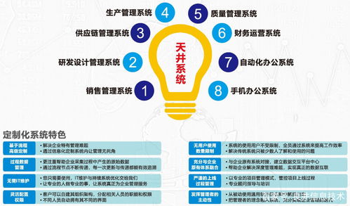 定制化企業管理軟件 提升效率與競爭力的智能選擇