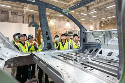 鏡頭聚焦新臨港 高質量發(fā)展調研行走進上海臨港新片區(qū)